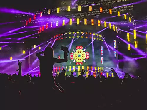 peple cheering at Live concert