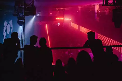 People at live concert