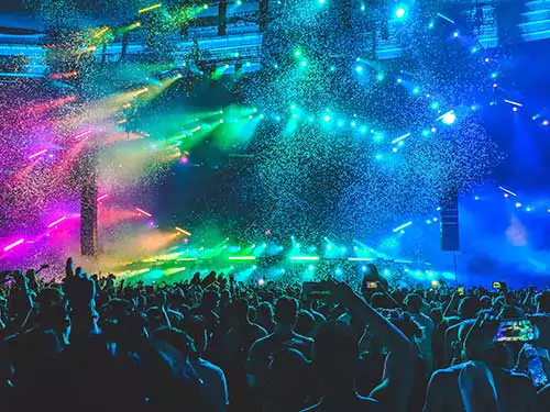 peple cheering at Live concert